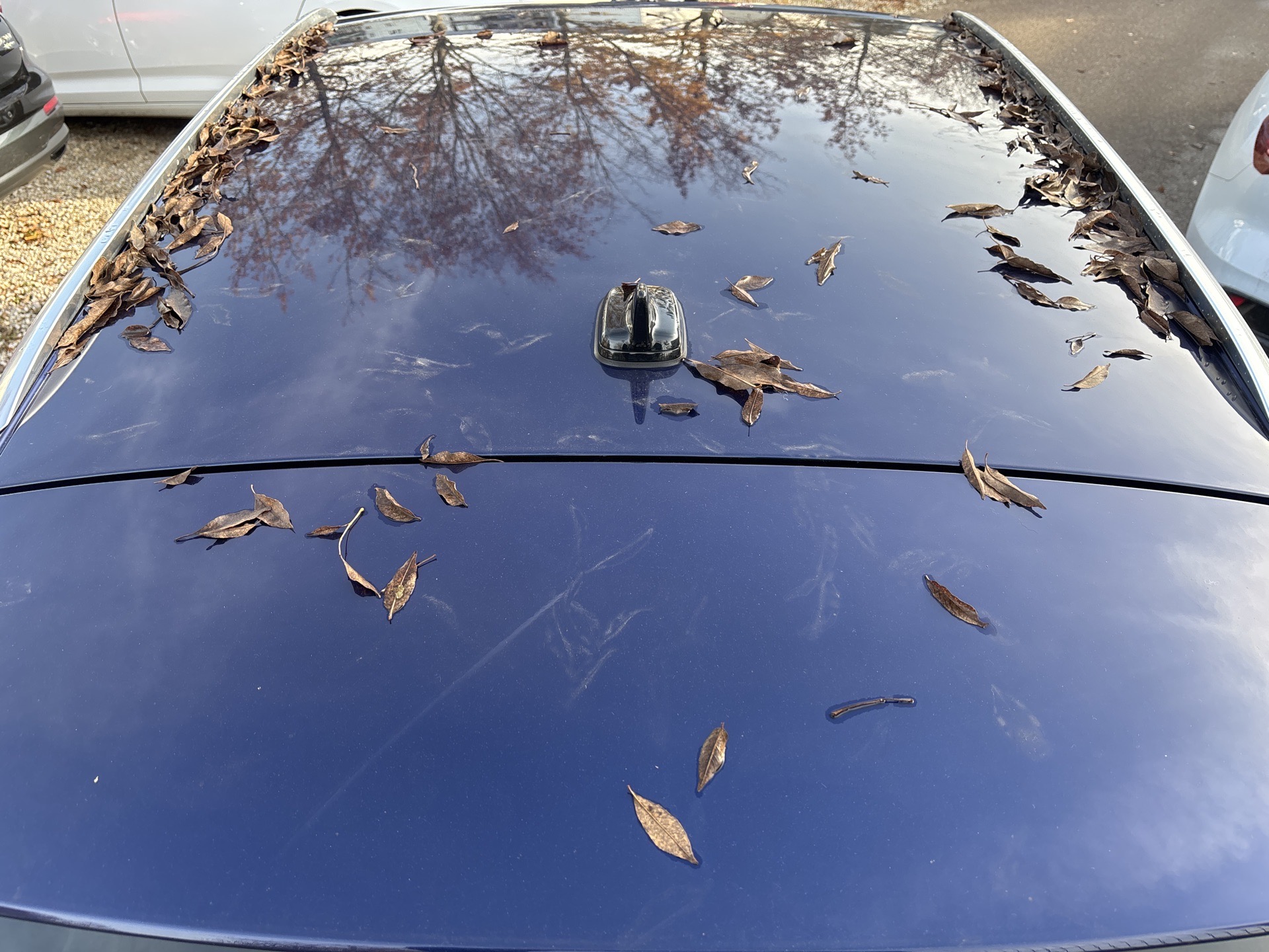 c8ea1141-0c09-4c74-9cf3-421ec8194ef7